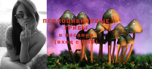 PSILOCYBIN Покачи